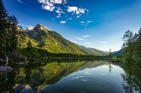 nature pic